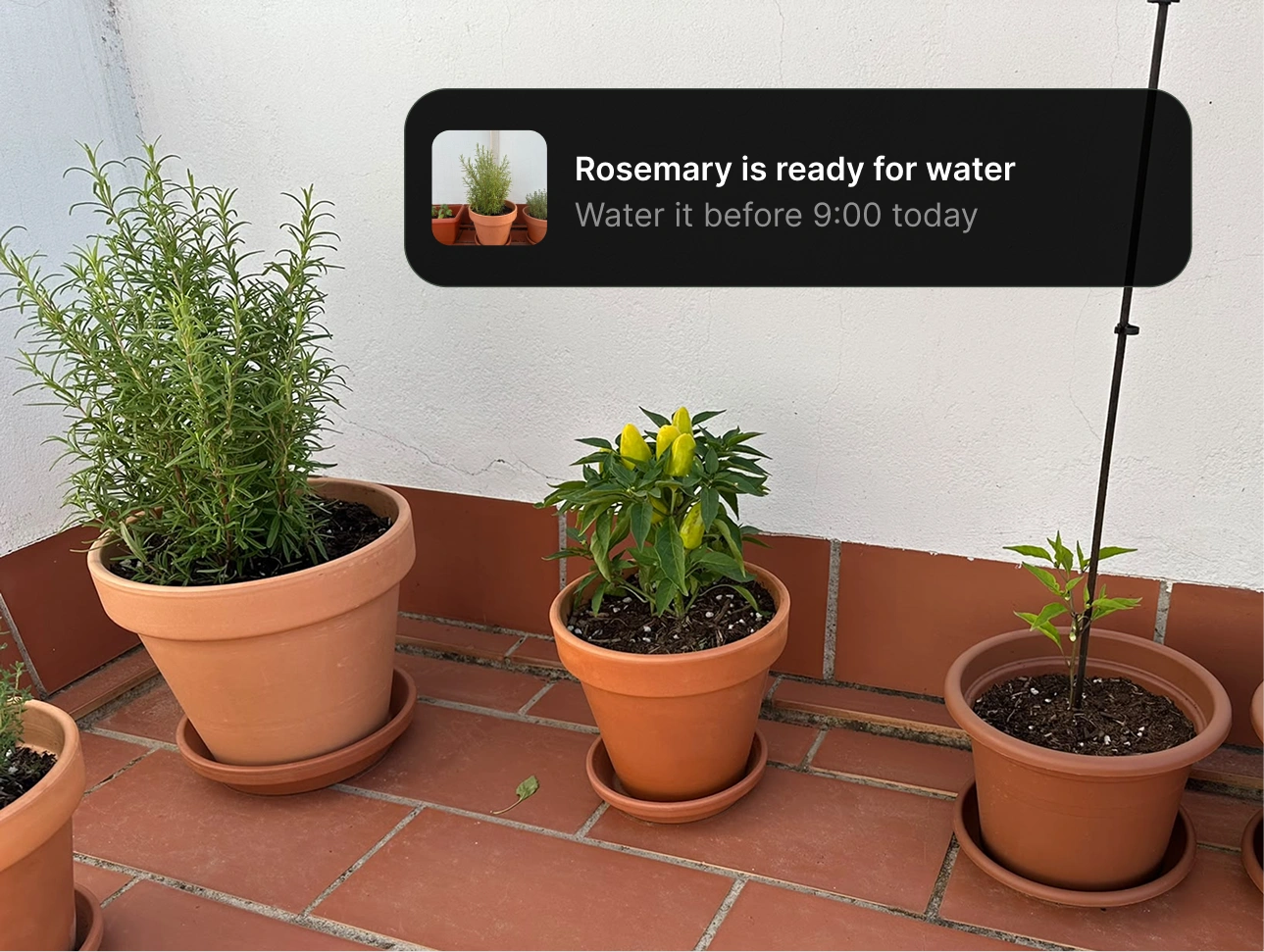 Mossumi plant care app design and development: I wanted to build an app I would actually use by Nejc Ovnik (NEITS)
