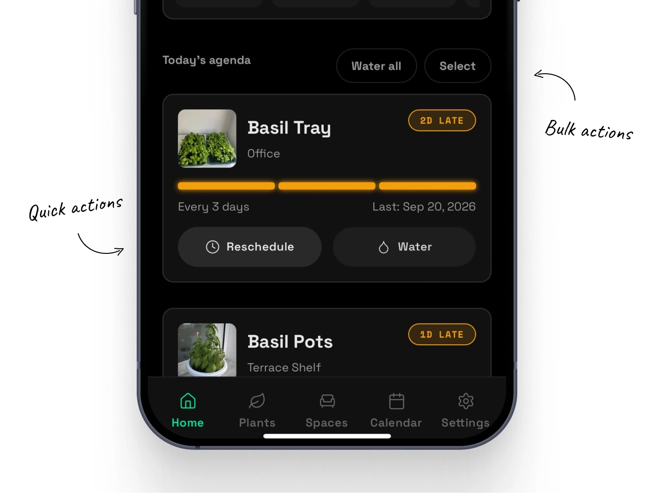 Mossumi plant care app design and development: The important things come first by Nejc Ovnik (NEITS)