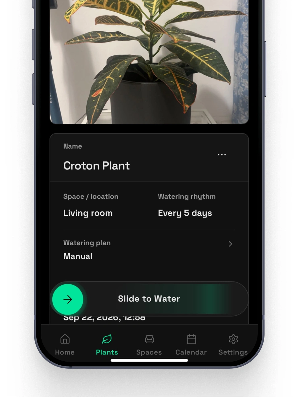 Mossumi plant care app design and development: Every plant has its own page by Nejc Ovnik (NEITS)