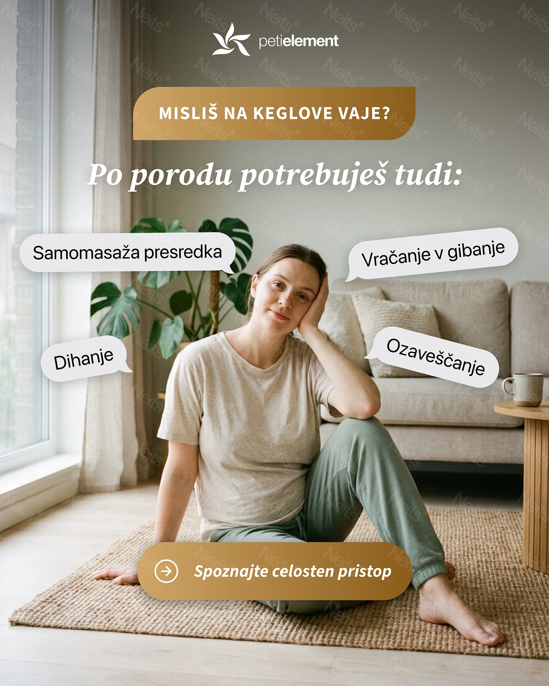 Peti element concept performance design creatives for Meta advertisement: Two educational hook formats by Nejc Ovnik (NEITS)