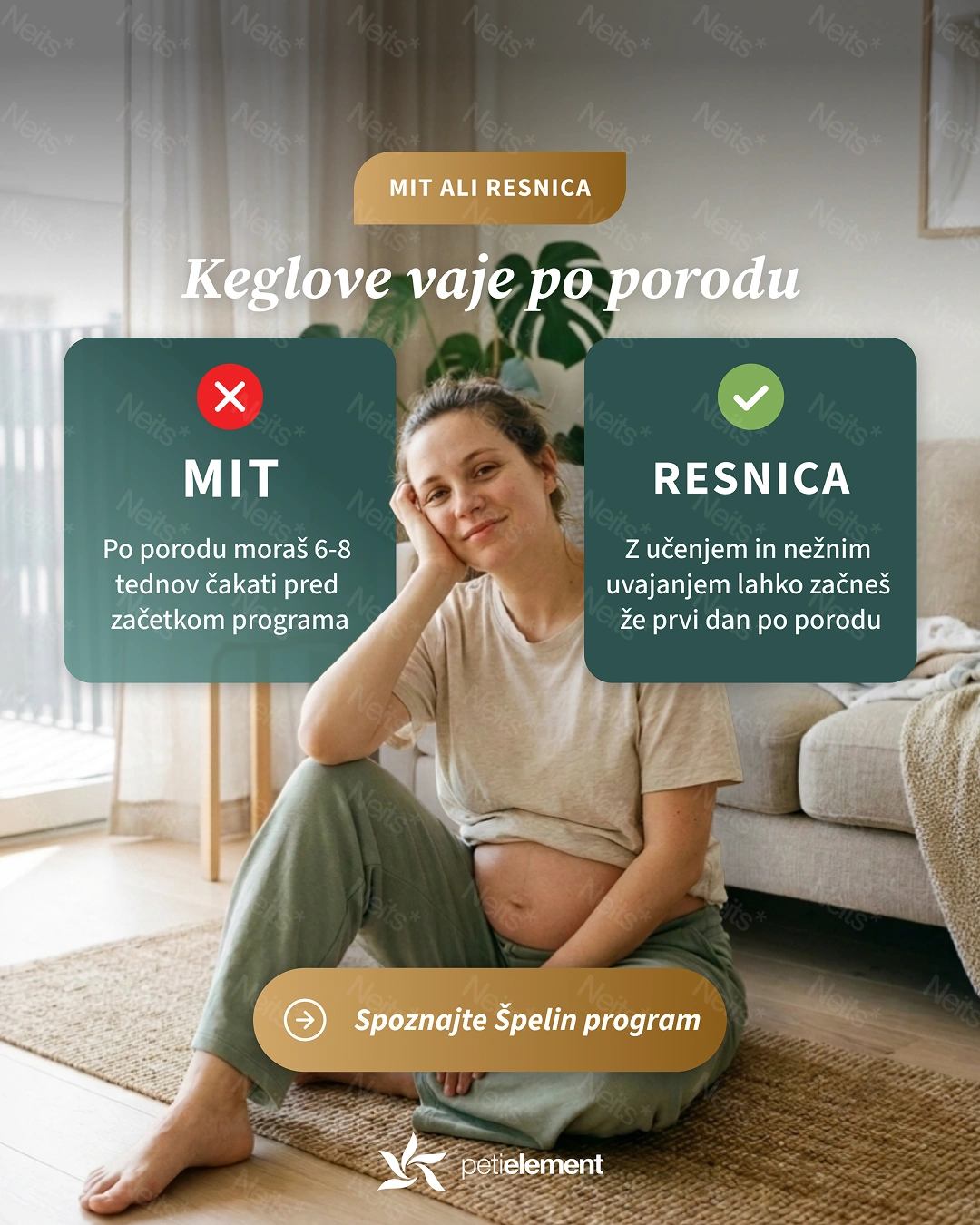 Peti element concept performance design creatives for Meta advertisement: Two educational hook formats by Nejc Ovnik (NEITS)
